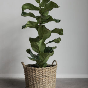 Korg rund med handtag